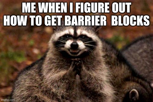 Evil Plotting Raccoon Meme | ME WHEN I FIGURE OUT HOW TO GET BARRIER  BLOCKS | image tagged in memes,evil plotting raccoon | made w/ Imgflip meme maker