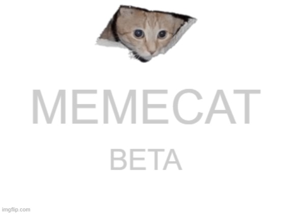 The new game thats sweeping the nation | image tagged in memecat,ceiling cat,memechat | made w/ Imgflip meme maker
