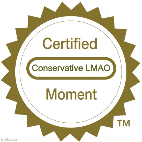 Certified Moment | Conservative LMAO | image tagged in certified moment | made w/ Imgflip meme maker