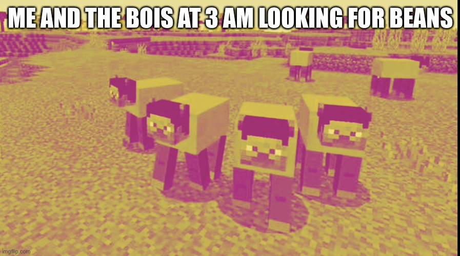 WE BE ZOOMIN | ME AND THE BOIS AT 3 AM LOOKING FOR BEANS | image tagged in me and the boys | made w/ Imgflip meme maker