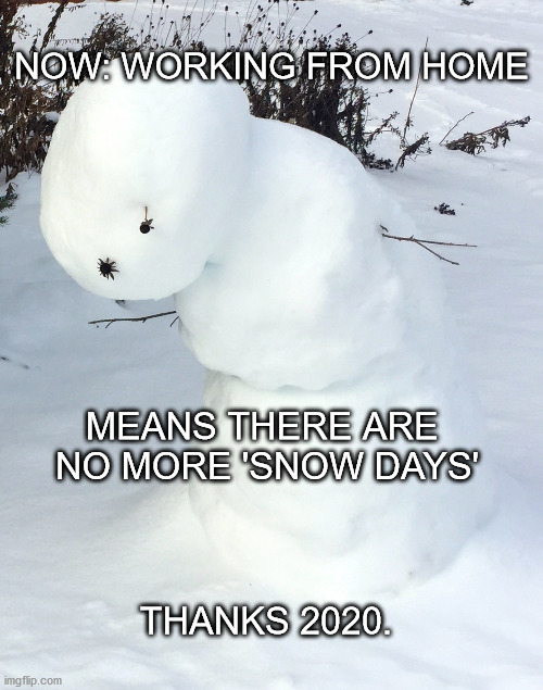 No More Snow Days |  NOW: WORKING FROM HOME; MEANS THERE ARE 
NO MORE 'SNOW DAYS'; THANKS 2020. | image tagged in meme,haiku,work from home,snow day,sadness | made w/ Imgflip meme maker