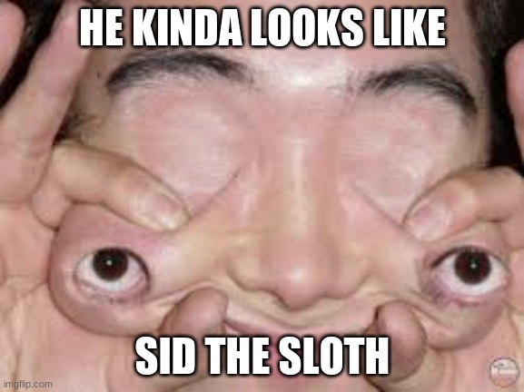 Doesnt he look like sid the sloth | HE KINDA LOOKS LIKE; SID THE SLOTH | image tagged in funny,memes,sid the sloth,weird | made w/ Imgflip meme maker
