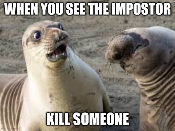 When you see the impostor kill someone | WHEN YOU SEE THE IMPOSTOR; KILL SOMEONE | image tagged in memes,funny memes,seals,among us | made w/ Imgflip meme maker