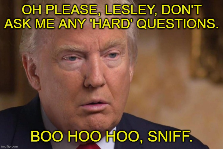 Big, Tough President | OH PLEASE, LESLEY, DON'T ASK ME ANY 'HARD' QUESTIONS. BOO HOO HOO, SNIFF. | image tagged in trump,60 minutes,election 2020 | made w/ Imgflip meme maker