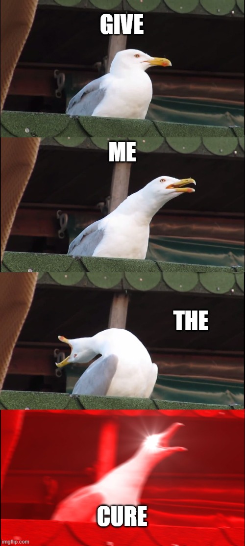 Inhaling Seagull Meme | GIVE; ME; THE; CURE | image tagged in memes,inhaling seagull | made w/ Imgflip meme maker