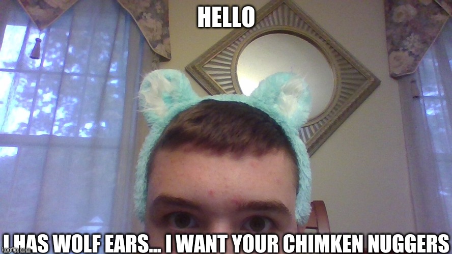 Hello... I has wolf ears... I want your chimken nuggers | HELLO; I HAS WOLF EARS... I WANT YOUR CHIMKEN NUGGERS | image tagged in furry boi peekaboo | made w/ Imgflip meme maker