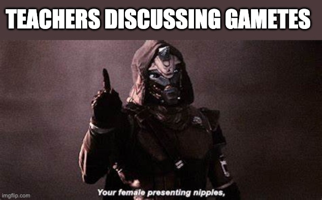 Your A Female Presenting Nipples Cayde-6 | TEACHERS DISCUSSING GAMETES | image tagged in your a female presenting nipples cayde-6 | made w/ Imgflip meme maker