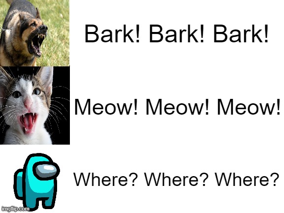 Blank White Template | Bark! Bark! Bark! Meow! Meow! Meow! Where? Where? Where? | image tagged in blank white template | made w/ Imgflip meme maker