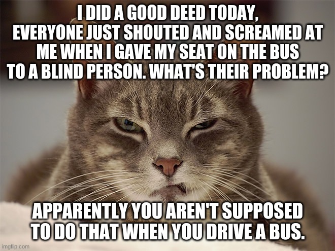 Learned my lesson. | I DID A GOOD DEED TODAY, EVERYONE JUST SHOUTED AND SCREAMED AT ME WHEN I GAVE MY SEAT ON THE BUS TO A BLIND PERSON. WHAT'S THEIR PROBLEM? APPARENTLY YOU AREN'T SUPPOSED TO DO THAT WHEN YOU DRIVE A BUS. | image tagged in sarcasm cat | made w/ Imgflip meme maker