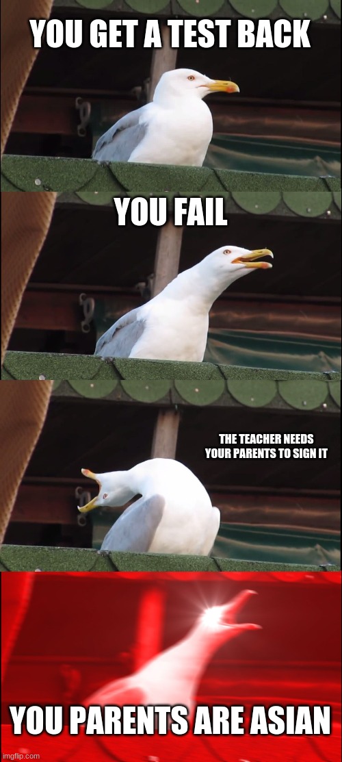 Inhaling Seagull Meme | YOU GET A TEST BACK; YOU FAIL; THE TEACHER NEEDS YOUR PARENTS TO SIGN IT; YOU PARENTS ARE ASIAN | image tagged in memes,inhaling seagull | made w/ Imgflip meme maker