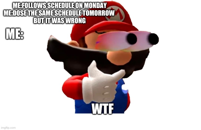 ... | ME:FOLLOWS SCHEDULE ON MONDAY
ME:DOSE THE SAME SCHEDULE TOMORROW 
BUT IT WAS WRONG; ME:; WTF | image tagged in funny memes | made w/ Imgflip meme maker