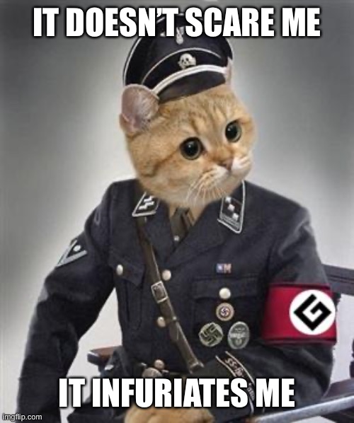 Grammar Nazi Cat | IT DOESN’T SCARE ME IT INFURIATES ME | image tagged in grammar nazi cat | made w/ Imgflip meme maker