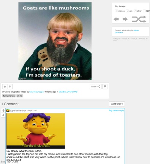 this is a weird meme i found, below is the comment i put | image tagged in memes,weird,funny | made w/ Imgflip meme maker