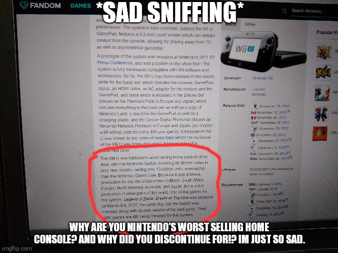 The WII U was one of my faves | *SAD SNIFFING*; WHY ARE YOU NINTENDO'S WORST SELLING HOME CONSOLE? AND WHY DID YOU DISCONTINUE FOR!? IM JUST SO SAD. | image tagged in wii u,nintendo,sadness | made w/ Imgflip meme maker