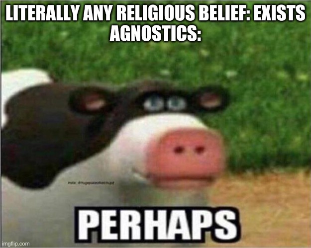Perhaps Cow | LITERALLY ANY RELIGIOUS BELIEF: EXISTS
AGNOSTICS: | image tagged in perhaps cow,agnostic,religion | made w/ Imgflip meme maker