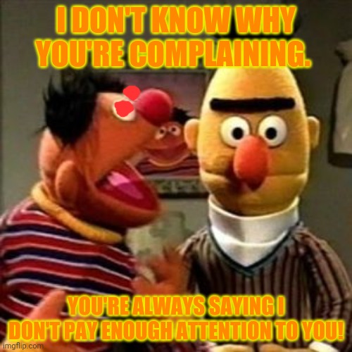 Ernie and Bert | I DON'T KNOW WHY YOU'RE COMPLAINING. YOU'RE ALWAYS SAYING I DON'T PAY ENOUGH ATTENTION TO YOU! | image tagged in ernie and bert | made w/ Imgflip meme maker