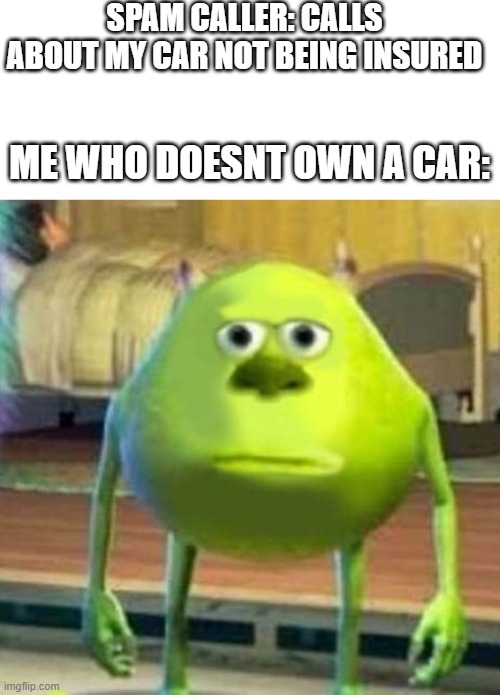 SPAM CALLER: CALLS ABOUT MY CAR NOT BEING INSURED; ME WHO DOESNT OWN A CAR: | image tagged in blank white template,mike wasowski sully face swap | made w/ Imgflip meme maker