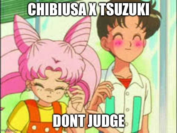 CHIBIUSA X TSUZUKI; DONT JUDGE | image tagged in sailor moon | made w/ Imgflip meme maker