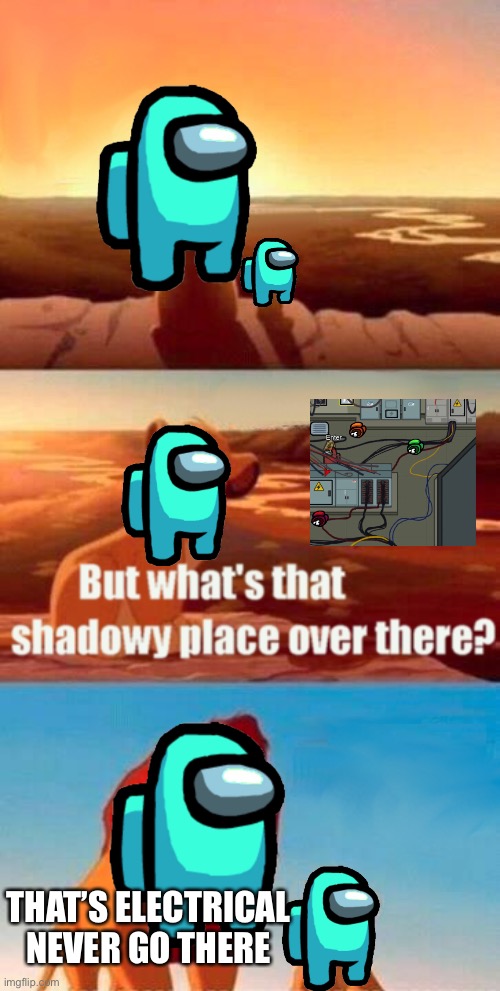 Simba Shadowy Place | THAT’S ELECTRICAL NEVER GO THERE | image tagged in memes,simba shadowy place | made w/ Imgflip meme maker