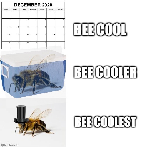 Cold beed | image tagged in beest | made w/ Imgflip meme maker
