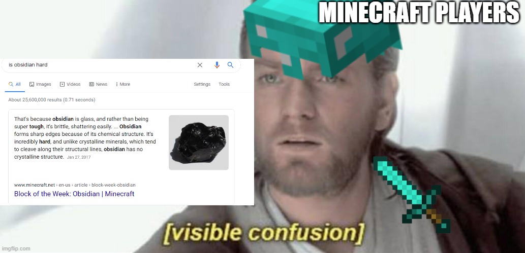 my life is a lie | MINECRAFT PLAYERS | image tagged in minecraft,visible confusion | made w/ Imgflip meme maker