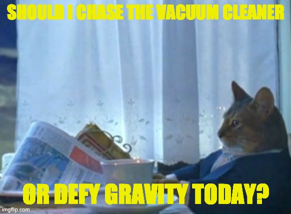 I Should Buy A Boat Cat | SHOULD I CHASE THE VACUUM CLEANER; OR DEFY GRAVITY TODAY? | image tagged in memes,i should buy a boat cat | made w/ Imgflip meme maker