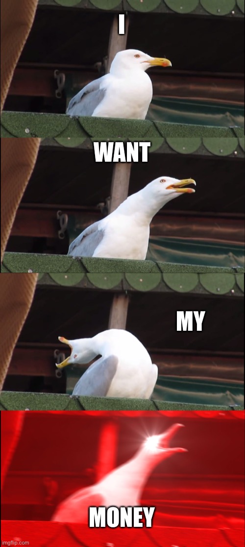 Inhaling Seagull | I; WANT; MY; MONEY | image tagged in memes,inhaling seagull | made w/ Imgflip meme maker