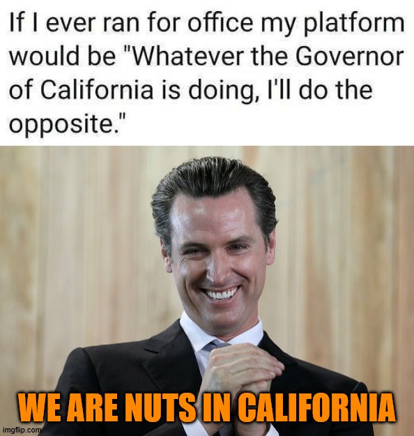 If you are that nuts, please stay there and don't ruin the other states. | WE ARE NUTS IN CALIFORNIA | image tagged in scheming gavin newsom,california | made w/ Imgflip meme maker