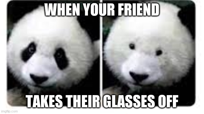 When your friend takes their glasses off | WHEN YOUR FRIEND; TAKES THEIR GLASSES OFF | image tagged in panda,memes,funny memes,funny | made w/ Imgflip meme maker