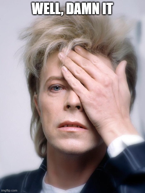 Bowie damn it | WELL, DAMN IT | image tagged in bowie damn it | made w/ Imgflip meme maker