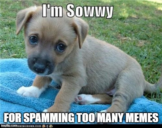 FOR SPAMMING TOO MANY MEMES | made w/ Imgflip meme maker