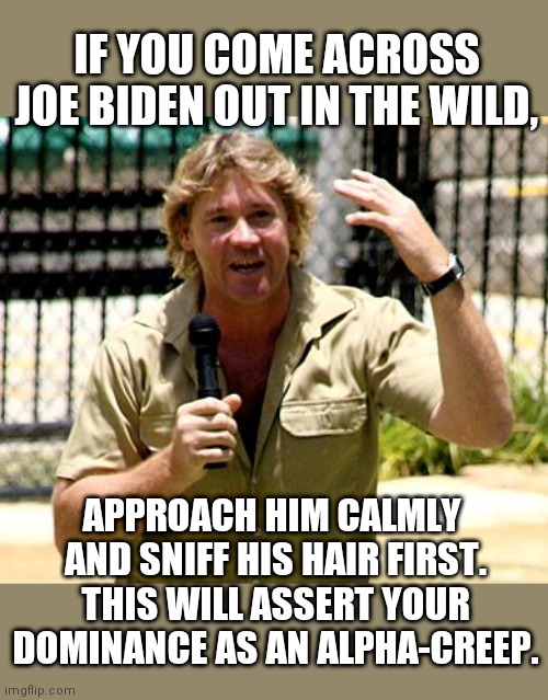 the more you know | IF YOU COME ACROSS JOE BIDEN OUT IN THE WILD, APPROACH HIM CALMLY 
AND SNIFF HIS HAIR FIRST.
THIS WILL ASSERT YOUR DOMINANCE AS AN ALPHA-CREEP. | image tagged in steve irwin,creepy joe biden,joe exotic | made w/ Imgflip meme maker