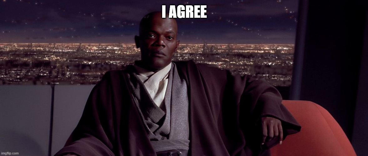 Mace Windu I agree | I AGREE | image tagged in mace windu i agree | made w/ Imgflip meme maker