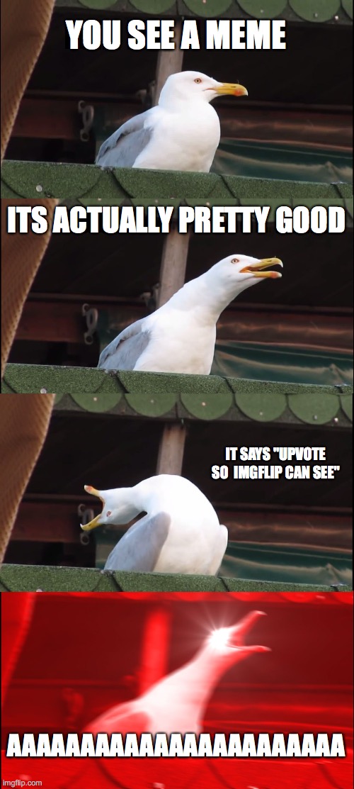 YOU SEE A MEME ITS ACTUALLY PRETTY GOOD IT SAYS "UPVOTE SO  IMGFLIP CAN SEE" AAAAAAAAAAAAAAAAAAAAAAA | image tagged in memes,inhaling seagull | made w/ Imgflip meme maker