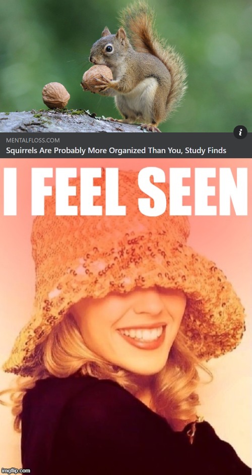 [100% true] | image tagged in kylie i feel seen,squirrel,squirrels | made w/ Imgflip meme maker