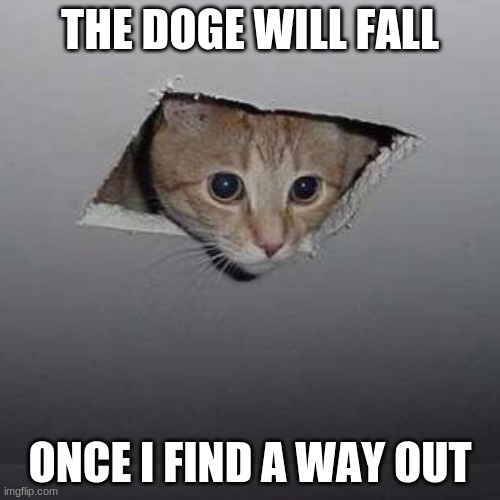 Ceiling Cat | THE DOGE WILL FALL; ONCE I FIND A WAY OUT | image tagged in memes,ceiling cat | made w/ Imgflip meme maker