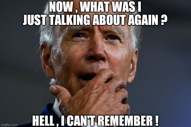Senile Joe Biden | NOW , WHAT WAS I JUST TALKING ABOUT AGAIN ? HELL , I CAN'T REMEMBER ! | image tagged in senior | made w/ Imgflip meme maker