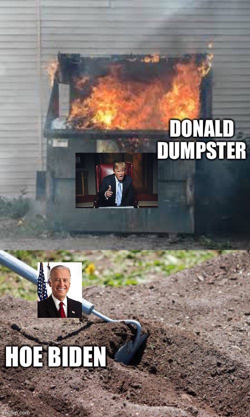 HOE BIDEN DONALD DUMPSTER | image tagged in garden hoe,dumpster fire | made w/ Imgflip meme maker