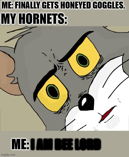 Unsettled Tom | ME: FINALLY GETS HONEYED GOGGLES. MY HORNETS:; ME:; I AM BEE LORD | image tagged in memes,unsettled tom | made w/ Imgflip meme maker