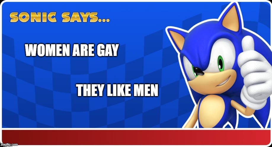 Sonic Says (S&ASR) | WOMEN ARE GAY; THEY LIKE MEN | image tagged in sonic says | made w/ Imgflip meme maker