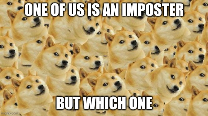 Multi Doge | ONE OF US IS AN IMPOSTER; BUT WHICH ONE | image tagged in memes,multi doge | made w/ Imgflip meme maker