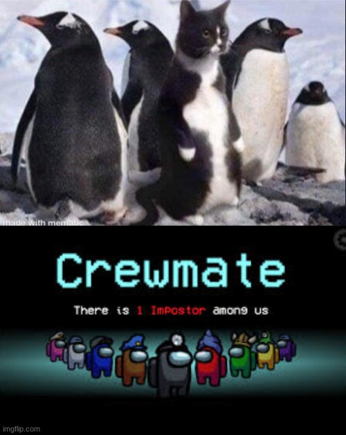 penguin | image tagged in there is 1 imposter among us | made w/ Imgflip meme maker