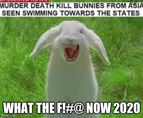WHAT THE F!#@ NOW 2020 | image tagged in bad bugs bunny pun,news | made w/ Imgflip meme maker
