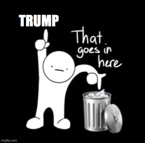 that goes in here | TRUMP | image tagged in that goes in here | made w/ Imgflip meme maker