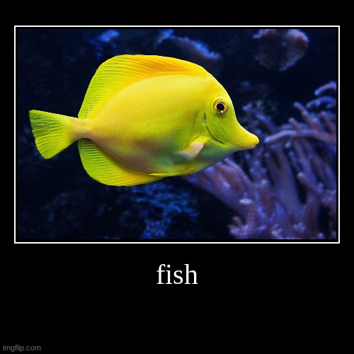 fish | image tagged in funny,demotivationals | made w/ Imgflip demotivational maker