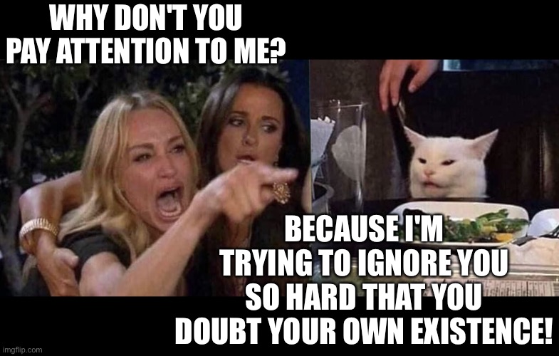 Woman yelling at cat | WHY DON'T YOU PAY ATTENTION TO ME? BECAUSE I'M TRYING TO IGNORE YOU SO HARD THAT YOU DOUBT YOUR OWN EXISTENCE! | image tagged in woman yelling at cat | made w/ Imgflip meme maker