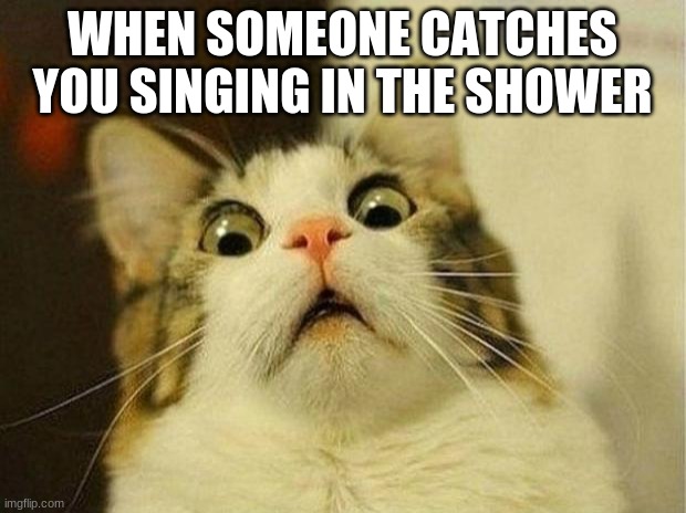 Scared Cat | WHEN SOMEONE CATCHES YOU SINGING IN THE SHOWER | image tagged in memes,scared cat | made w/ Imgflip meme maker