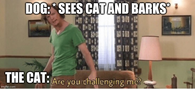 Dog vs Cat | DOG: * SEES CAT AND BARKS*; THE CAT: | image tagged in are you challenging me | made w/ Imgflip meme maker