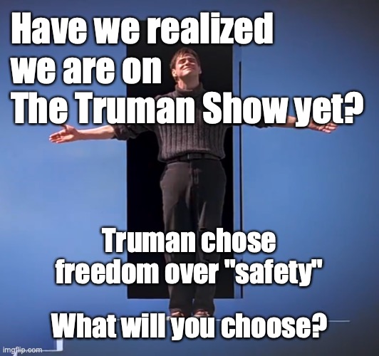 Chose? Truman Burbank had to escape! | Have we realized we are on The Truman Show yet? Truman chose
freedom over "safety"; What will you choose? | image tagged in truman show,fake news,msm lies,1984,jim carrey,covid-19 | made w/ Imgflip meme maker
