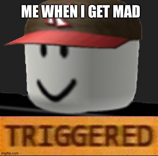 Roblox Triggered | ME WHEN I GET MAD | image tagged in roblox triggered | made w/ Imgflip meme maker